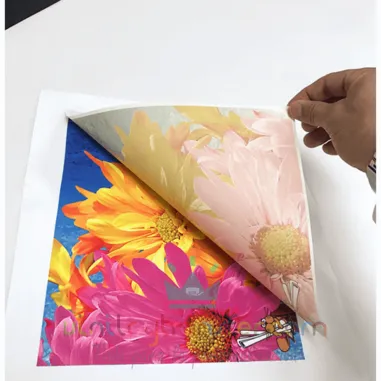 Impresion Hoja A4 Sublimación